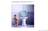 Infecções do trato urinário Prof. Lincoln Freitas.