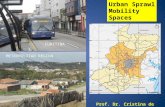 CURITIBA METROPOLITAN REGION Urban Sprawl Mobility Spaces Prof. Dr. Cristina de Araujo Lima UFPR.