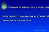 FACULDADE DE MEDICINA DE S. J. DO RIO PRETO DEPARTAMENTO DE GINECOLOGIA E OBSTETRÍCIA DISCIPLINA DE GINECOLOGIA DEPARTAMENTO DE GINECOLOGIA E OBSTETRÍCIA.