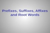 Introduce Prefixes Suffixes Roots Affixes PowerPoint.pptx