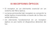 IV Receptores Opticos-estudiantes