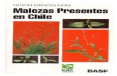Malezas Presentes en Chile