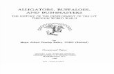 Alligator Buffaloes and Bushmasters