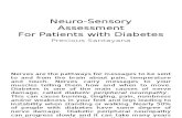 Neuro Sensory Assessment