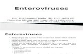 8. Enteroviruses Including Polio