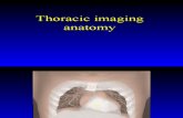 Thoracic Imaging 3