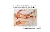 Manual Anatomia - Músculos