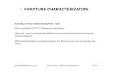 Fracture Characterization