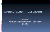 SPINAL CORD   DISORDERS yared.ppt