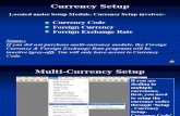 2. Multi Currency