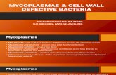 23 Mycoplasmas & Cell-wall Defective Bacteria