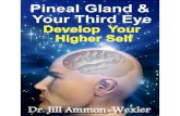 Pineal Gland and Third Eye Mobi EPub PDF Yasser
