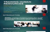 Report-training Human Resources