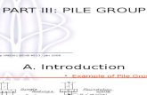 Foundation Studies - Pile Group