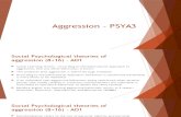 Aggression PSYA3