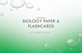 IGCSE Biology Paper 6 Cards