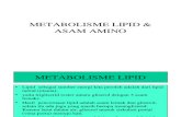 Metabolisme Lipid Beta Oksidasi
