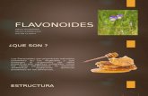FLAVONOIDES (1)