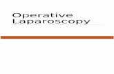 Operative Laparoscopy