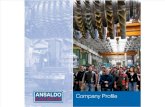 Company Profile Ansaldo Energia June 2014