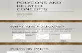 Polygons and Related Concepts