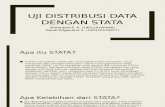 Uji Distribusi Data.pptx