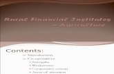 rural financing institutes