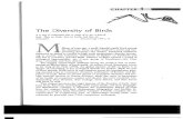 Chapter 1 - Diversity of Birds