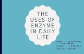 The Uses of Enzyme in Daily Life