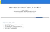 Neurobiología Del Alcohol