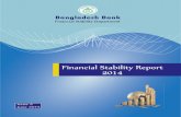 Final Stability Report2014