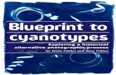 Blueprint to Cyanotypes