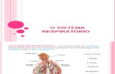 131418651 Anatomia Do Sistema Respiratorio