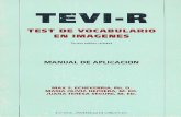 Manual TEVI-R.pdf