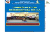 006.- MODELO DEL CURRICULO EMERGENCIA UGEL CHOTA.docx