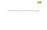 F037a - BRC Self Assessment Tool Issue 7 (Spanish).docx