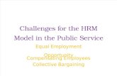 Challenges for the HRM Model in the Public Service