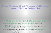 Introduce Prefixes Suffixes Roots PowerPoint