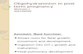 Oligohydramnion on Post Term Pregnancy