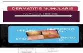 Ppt Dermatitis Numularis Yw
