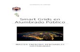 Smartgrid Alumbrado Publico