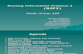 Routing Information Protocol 2