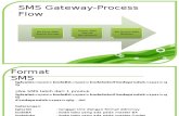 User Manual SMS Gateway Ver 1.2 (for BA)
