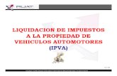 'Documents.mx Liquidacion Ipva.pdf'