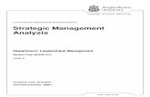 Strategic Management Analysis Module Guide (Intake 3)