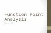 Lecture 12 - Function Point Case