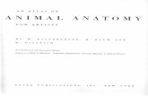 atlas animal anatomy for artists.pdf