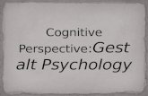 Cognitive Perspective: Gestalt Psychology