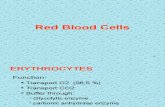 05. Red Blood Cells1
