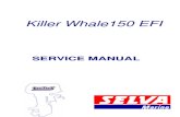 Killer Whale 150 - English